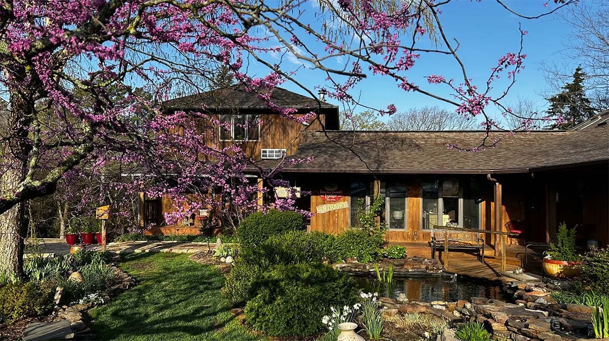 A wooden house surrounded by blooming trees and a lush garden with a small pond. A wooden house surrounded by blooming trees and a lush garden with a small pond.