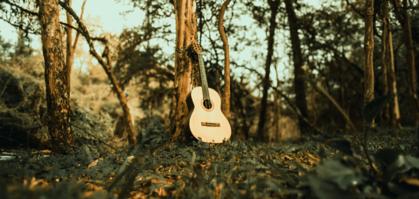 An acoustic guitar resting against a tree in a serene forest setting.