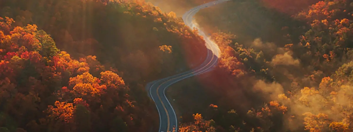 A winding road cuts through vibrant autumn foliage in a misty landscape.