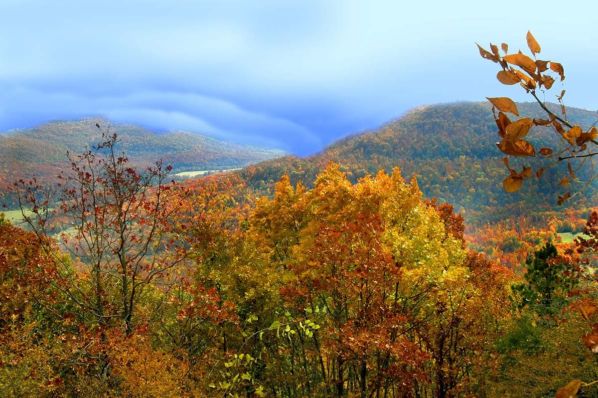 Vibrant autumn foliage blankets rolling hills under a cloudy sky.