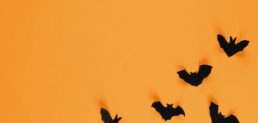 Black paper bats casting shadows on an orange background. Black paper bats casting shadows on an orange background.