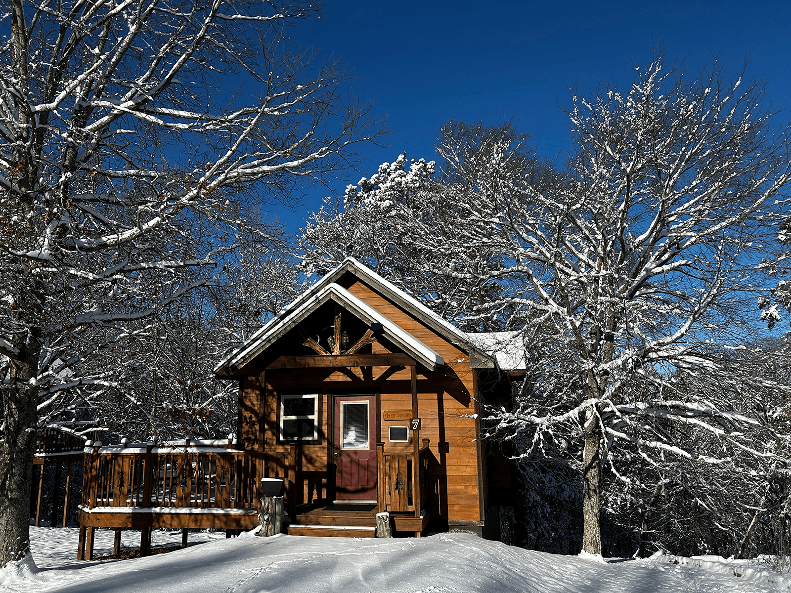 A cozy wooden cabin surrounded by snow-covered trees under a clear blue sky.
